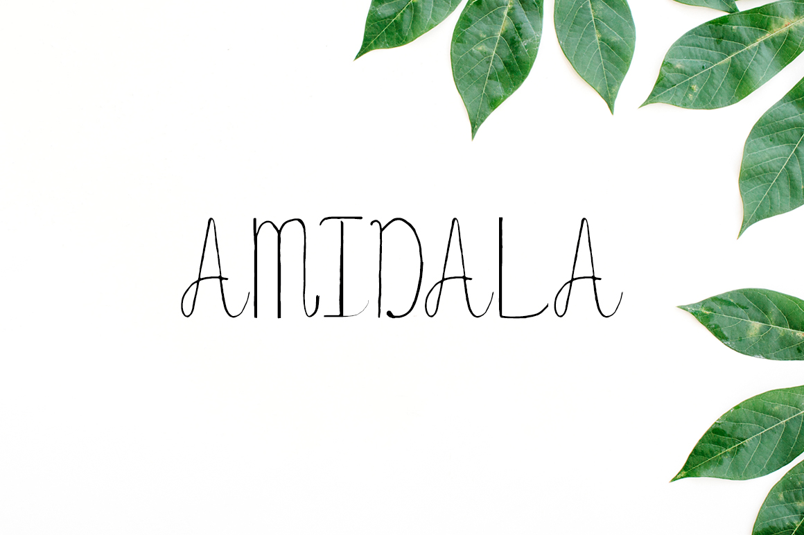 Amidala Handwritten Font Review for Social Campaigns