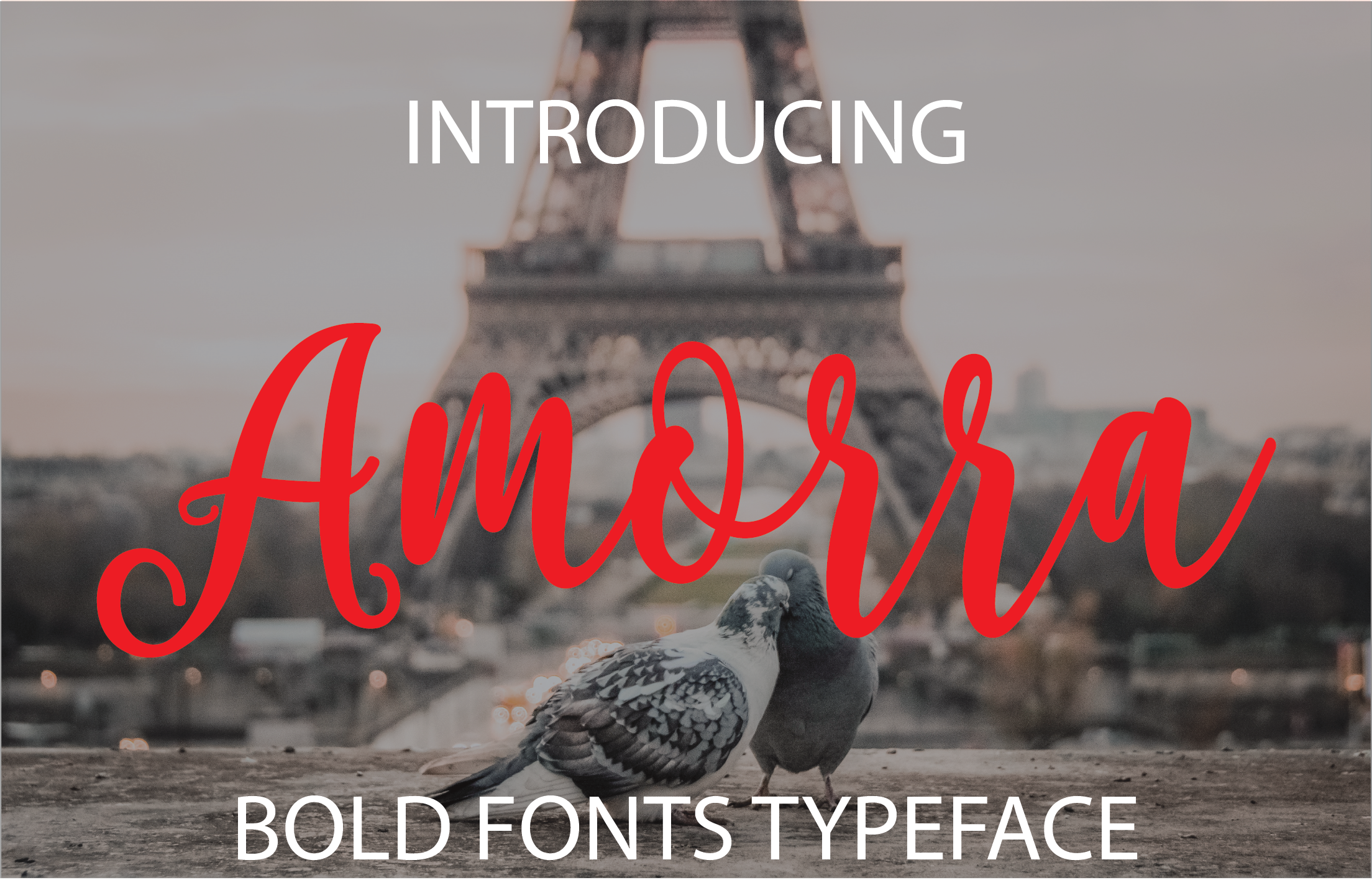 Amorra Font Review: Design Potential and Download Guide