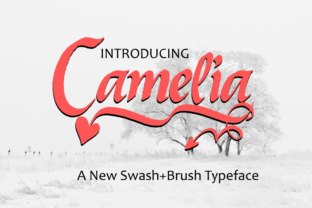 Camelia: A Dynamic Script Handwritten Font for Modern Branding