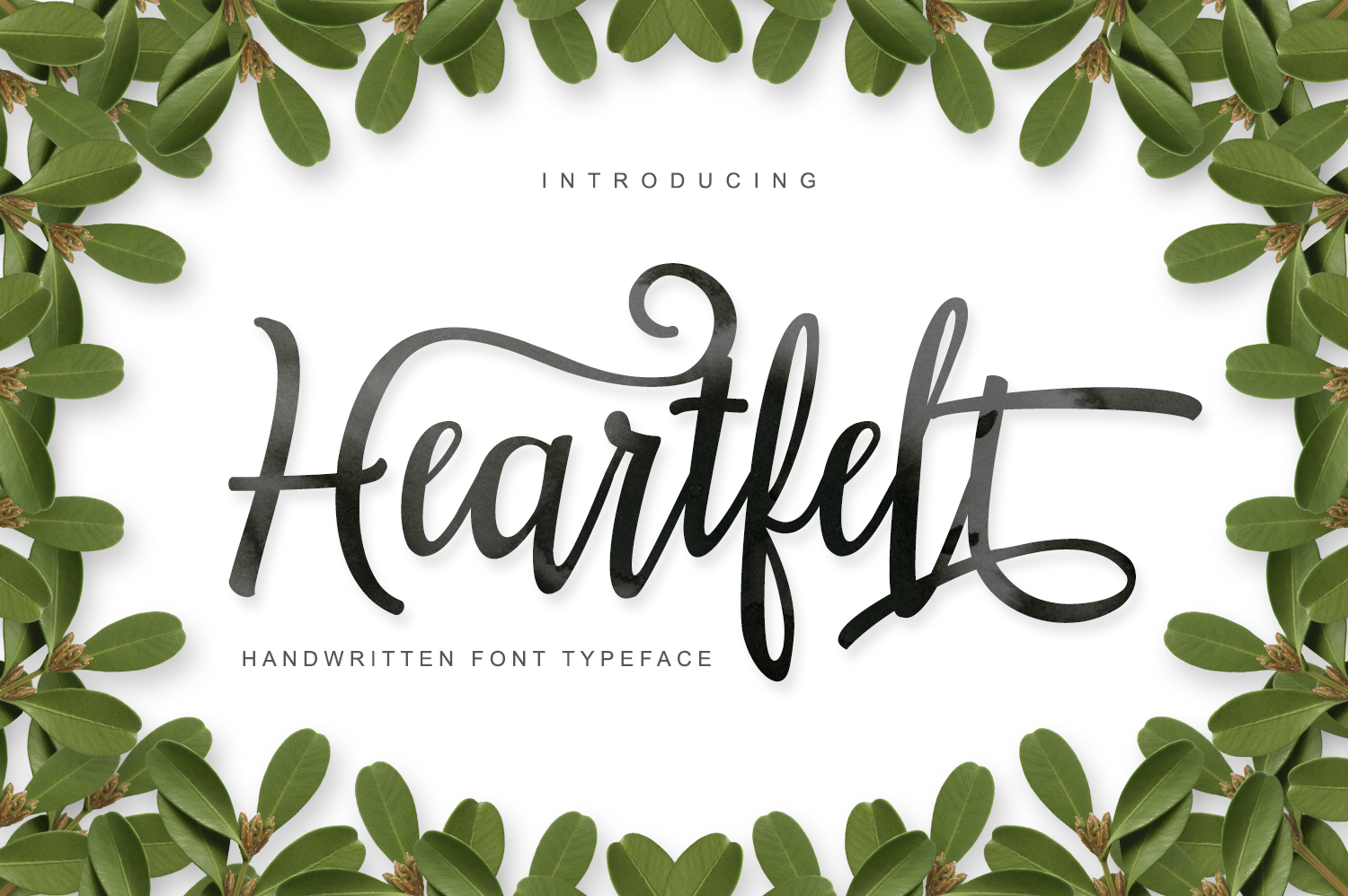 Heartfelt Typeface: Elevate Your Brand’s Visual Storytelling