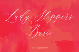 Lady Slippers Basic: A Delicate Script Review