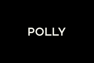 Polly Typeface: A Minimal Sans Serif for Modern Branding